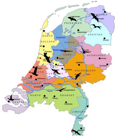 birds_for_gimp.jpg, nov. 2008 birds_for_gimp.jpg