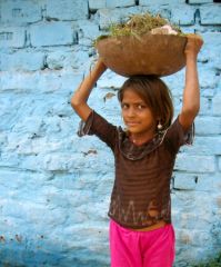 Meanest Indian - CC by