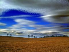 Nicholas T - CC by