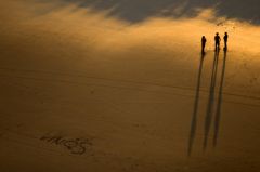 Peasap - CC by