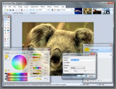Copie d'écran - Paint.NET