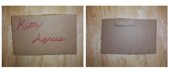 The Agreeable Cat The Agreeable Cat