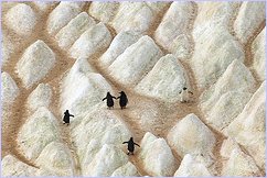 (c) Michael Poliza - Cold Roads of Home - small