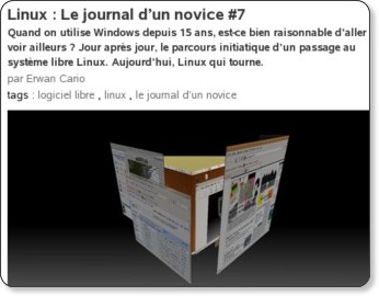 Copie d'écran - Journal d'un novice - Erwan Cario